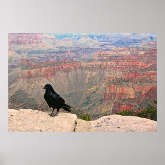 Poster Observateur du Canyon (Devant)