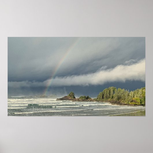Poster Observation des tempêtes à Tofino en Colombie-Brit (Devant)