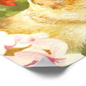 Poster Observation d'oiseaux "légère" (Coin)