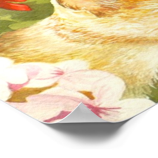 Poster Observation d'oiseaux "légère" (Coin)