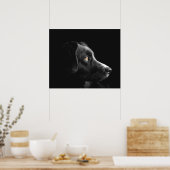 Poster Observation du chien noir (Cuisine)