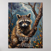 Poster Observation forestière : Raccoon sur un membre (Devant)