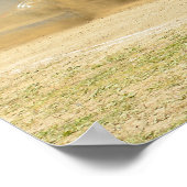 Poster Obsession malade (Coin)