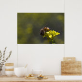 Poster Occupé comme une abeille (Cuisine)