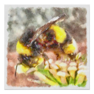 Poster Occupé Occupé Fréquenté Miel Abeille aquarelle pei