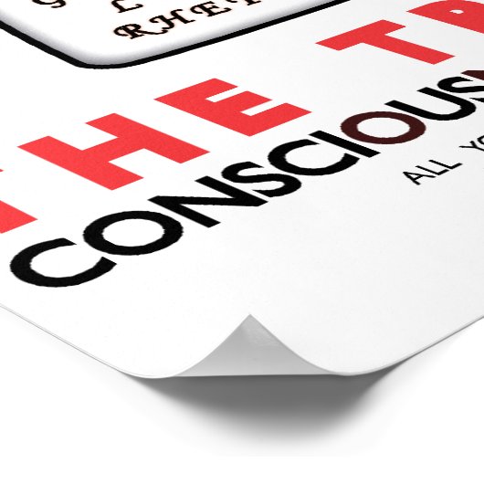 Poster Occupy Le Trivium (Coin)