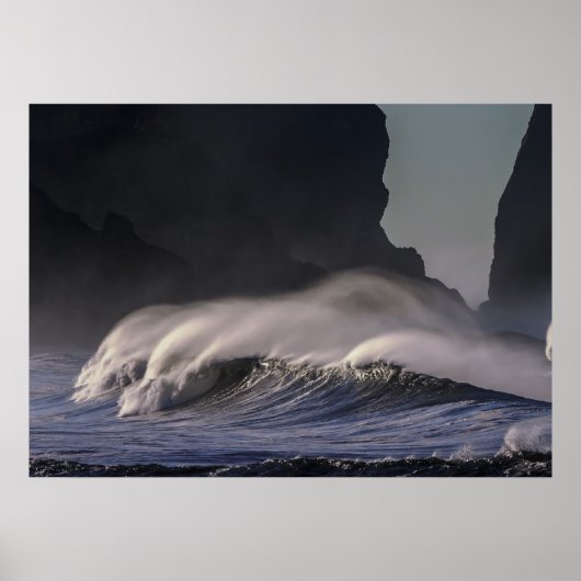 Poster Océan (Devant)