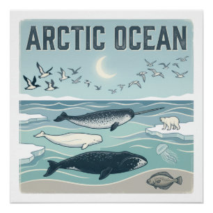 Poster Océan Arctique