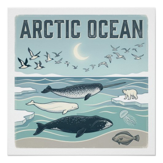 Poster Océan Arctique (Devant)