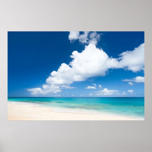 Poster Ocean beach (Devant)