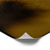 Poster Ocean City Surf (Coin)