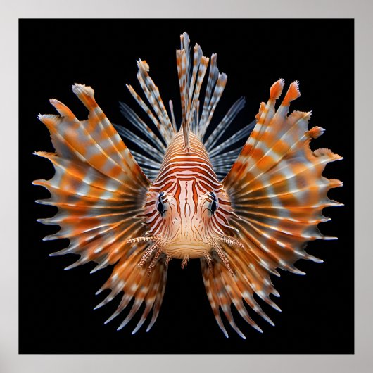 Poster Ocean Life (Devant)