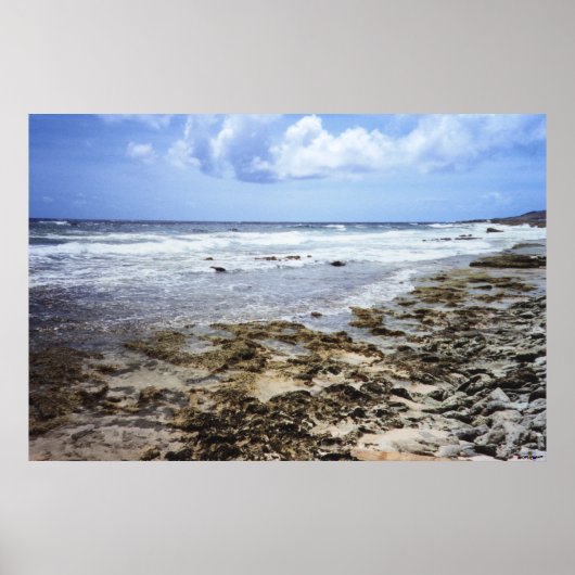 Poster Océan rocheux d'Aruba (Devant)