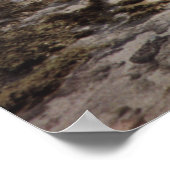 Poster Océan rocheux d'Aruba (Coin)