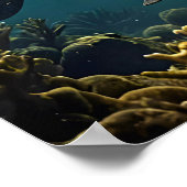 Poster Ocean Steampunk (Coin)