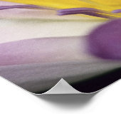 Poster Océanie, Fidji, Purple Panama Pacifica Nymphea (Coin)