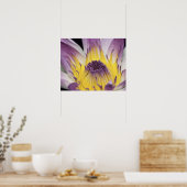 Poster Océanie, Fidji, Purple Panama Pacifica Nymphea (Cuisine)