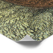 Poster Ocelot (Coin)