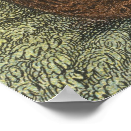 Poster Ocelot (Coin)