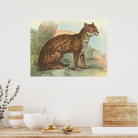 Poster Ocelot (Cuisine)