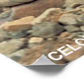 Poster Ocelot (Coin)