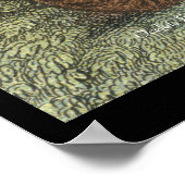 Poster Ocelot (Coin)