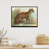 Poster Ocelot (Cuisine)