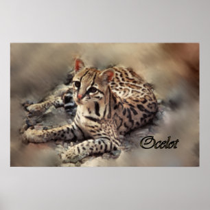 Poster Ocelot