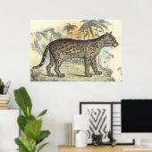 Poster Ocelot (variété) (Bureau à domicile)