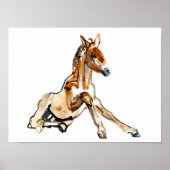 Poster Ochre Foal (Devant)