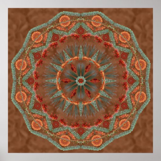Poster Ocotillo Mandala 1 (Devant)