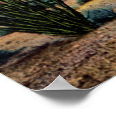 Poster Ocotillos du désert de l'Arizona en fleurs (Coin)