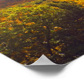 POSTER OCTOBRE AU SOMMEIL PARC NATIONAL DES DUNES D'OURS (Coin)