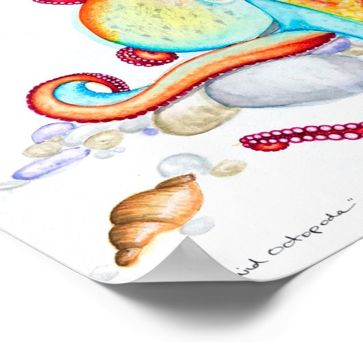 Poster Octopoda vive (Coin)