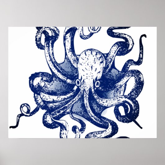 Poster Octopus bleu (Devant)