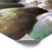 Poster Octopus du jour (Coin)