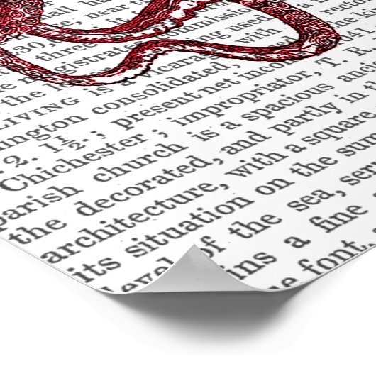 Poster Octopus intelligent (Coin)