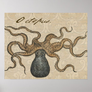 Poster Octopus Kraken Illustration Vintage