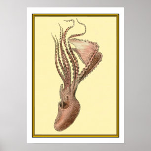 Poster Octopus vintage