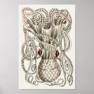 Poster Octopus Vintage Cephalopod Mer Créatures Art Impri