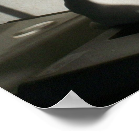 Poster Ode Au Chien (Coin)