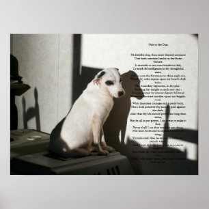 Poster Ode Au Chien