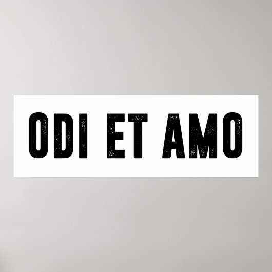 Poster Odi et amo (Devant)