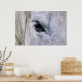 Poster OEil blanc Ranch Mare Photo (Cuisine)