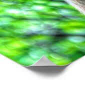 Poster OEil blanc Ranch Mare Photo 2 (Coin)