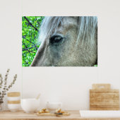 Poster OEil blanc Ranch Mare Photo 2 (Cuisine)