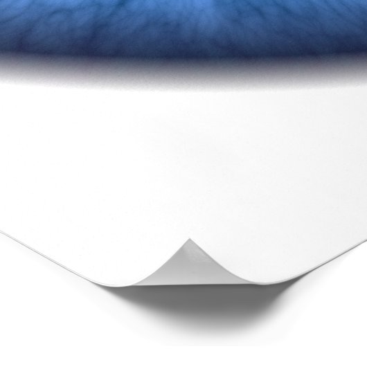 Poster oeil bleu est mignon (Coin)