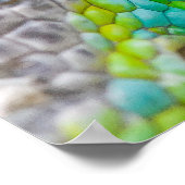 Poster Oeil Chameleon (Coin)