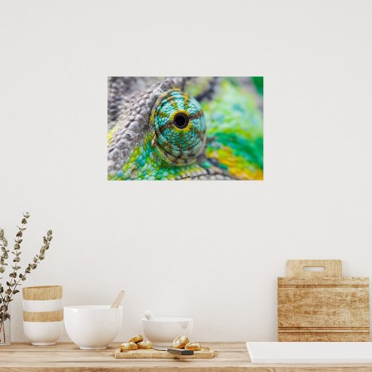 Poster Oeil Chameleon (Cuisine)