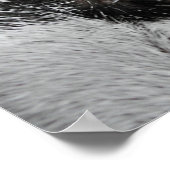 Poster Oeil de chat (Coin)